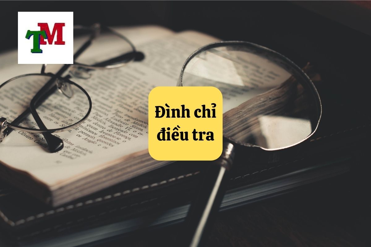 10. dinh chi dieu tra