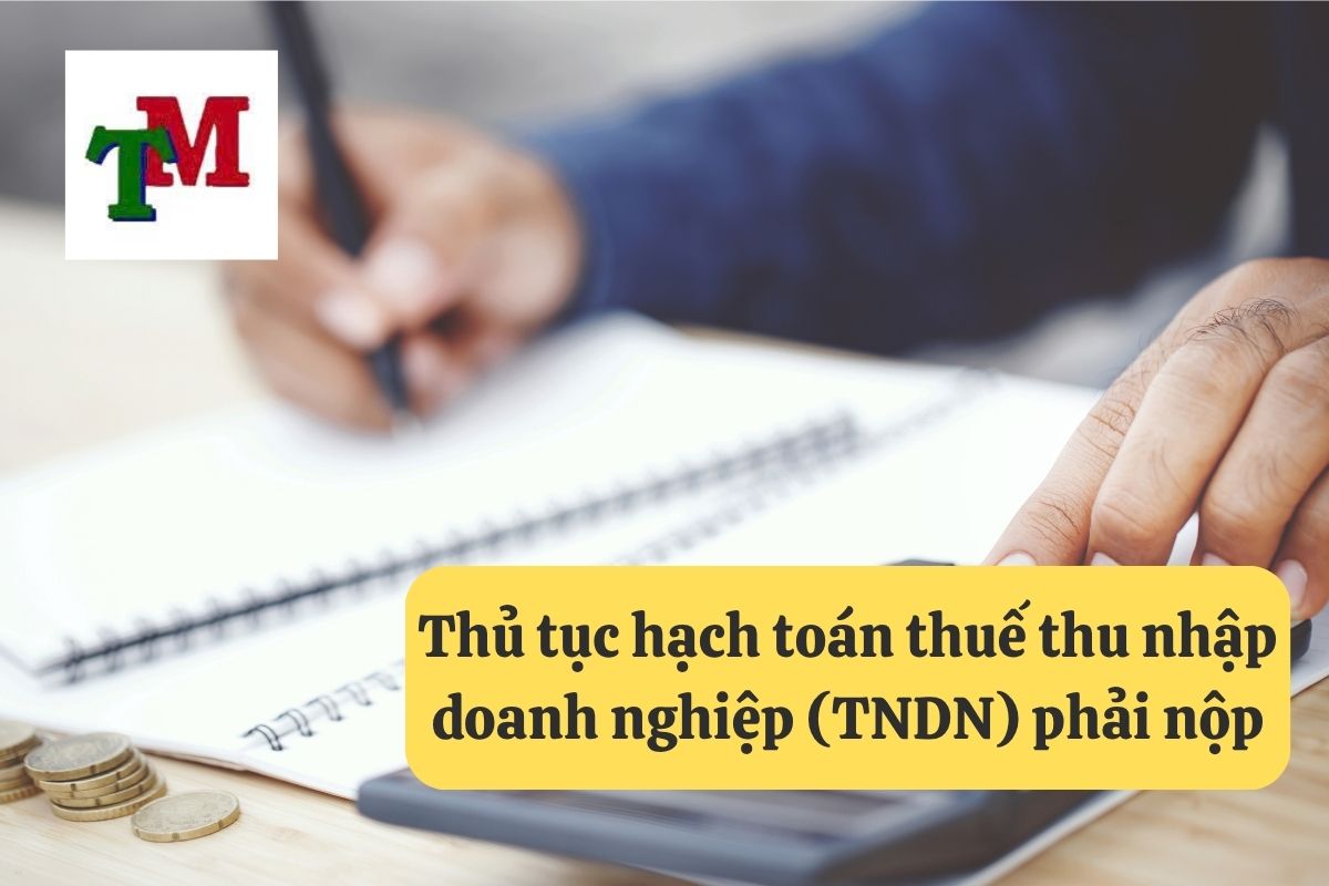 10. hach toan thue tndn phai nop 2