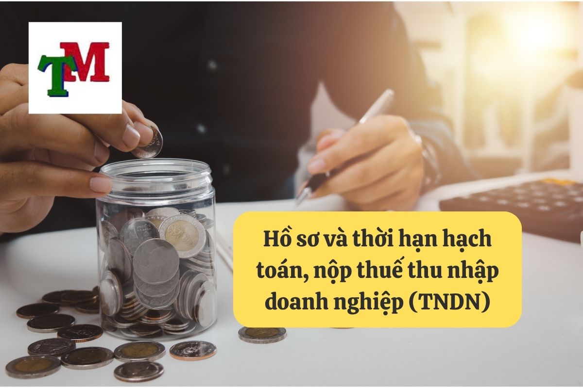 10. hach toan thue tndn phai nop 3