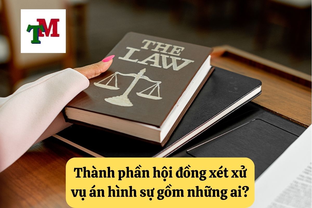 10. hoi dong xet xu vu an hinh su 2