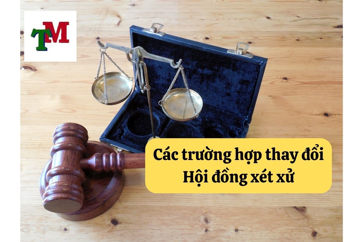 10. hoi dong xet xu vu an hinh su 3