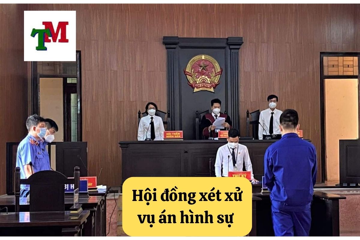 10. hoi dong xet xu vu an hinh su