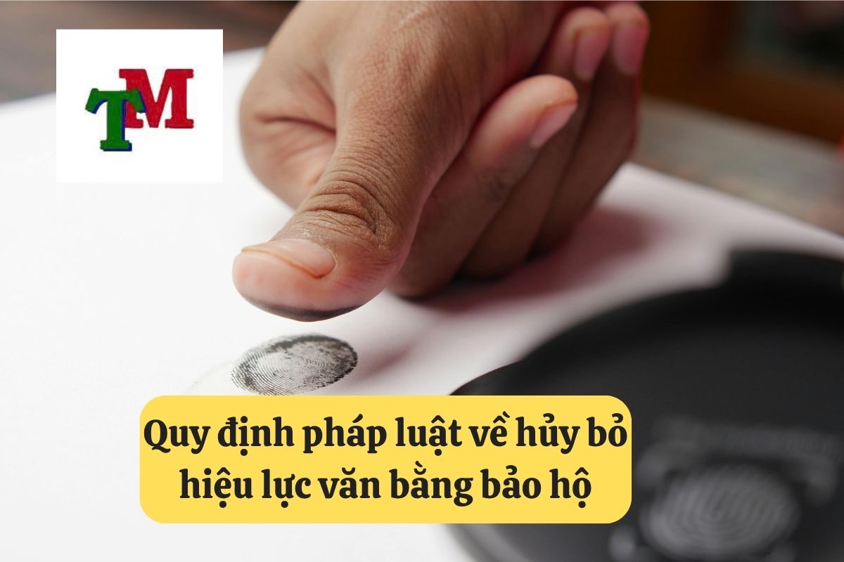 Hủy bỏ hiệu lực văn bằng bảo hộ: Hướng dẫn chi tiết tại Luật Thiên Mã 2 10. huy bo hieu luc van bang bao ho 2