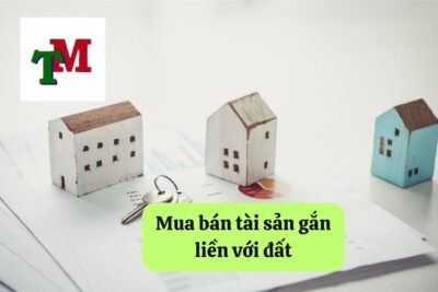 Mua bán tài sản gắn liền với đất: Quy định pháp luật và thủ tục thực hiện 47 10. mua ban tai san gan lien voi dat 1