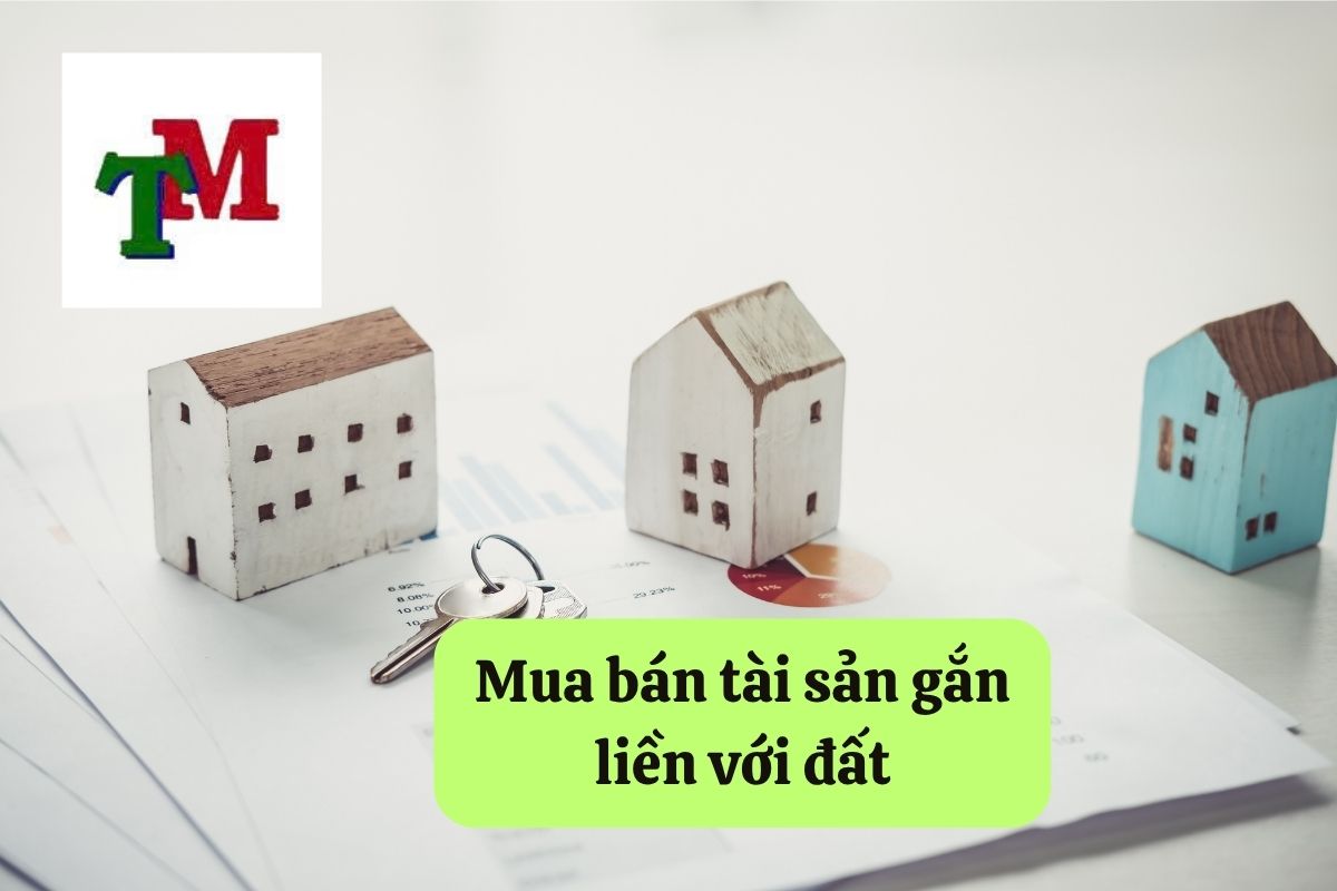 10. mua ban tai san gan lien voi dat 1