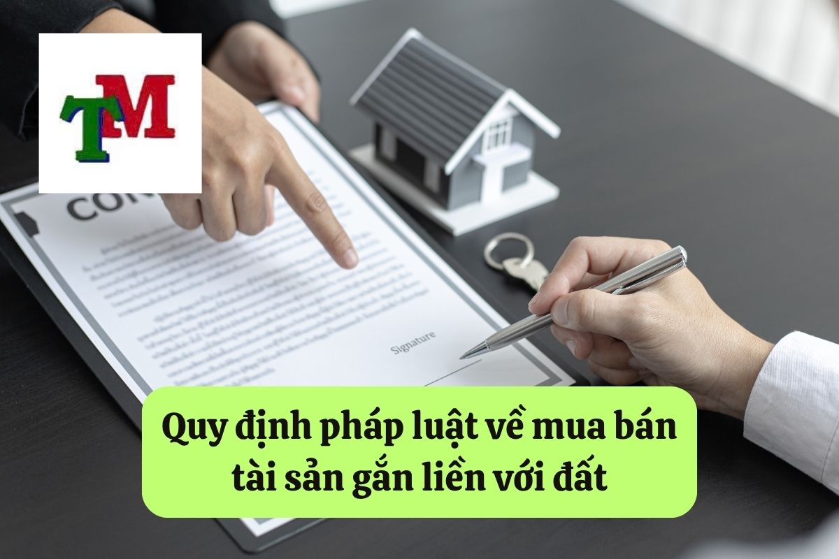 10. mua ban tai san gan lien voi dat 2
