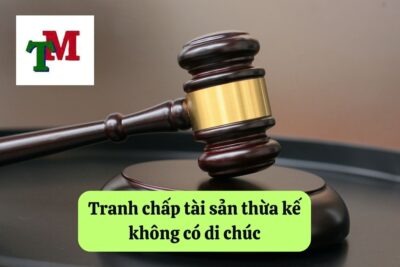 10. tranh chap tai san thua ke khong co di chuc