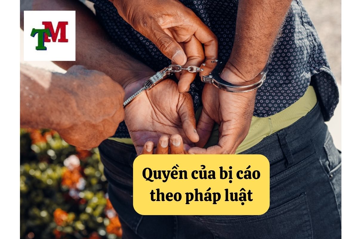 Quyền của bị cáo theo pháp luật