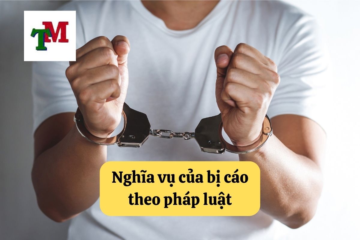 Nghĩa vụ của bị cáo theo pháp luật