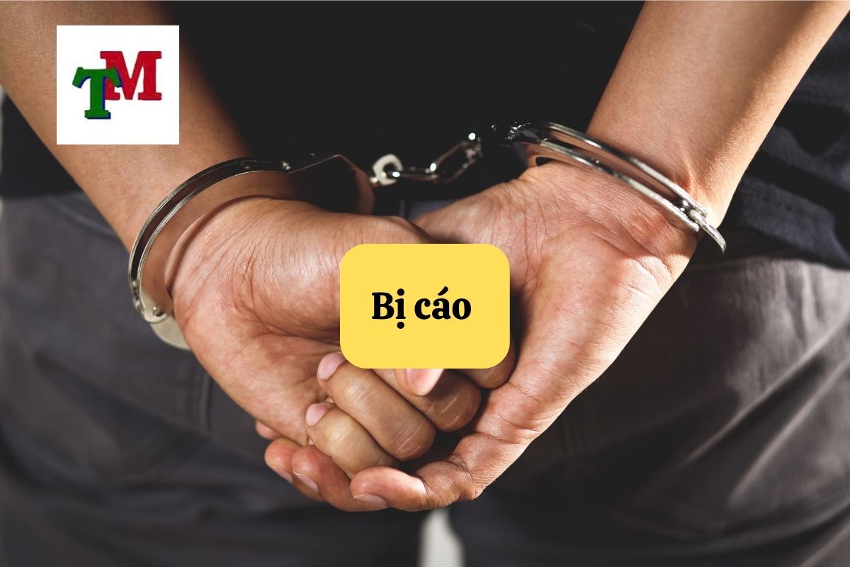 2 quyền chính và nghĩa vụ của bị cáo và vai trò của Luật sư tư vấn, bào chữa 1 Bị cáo là gì?