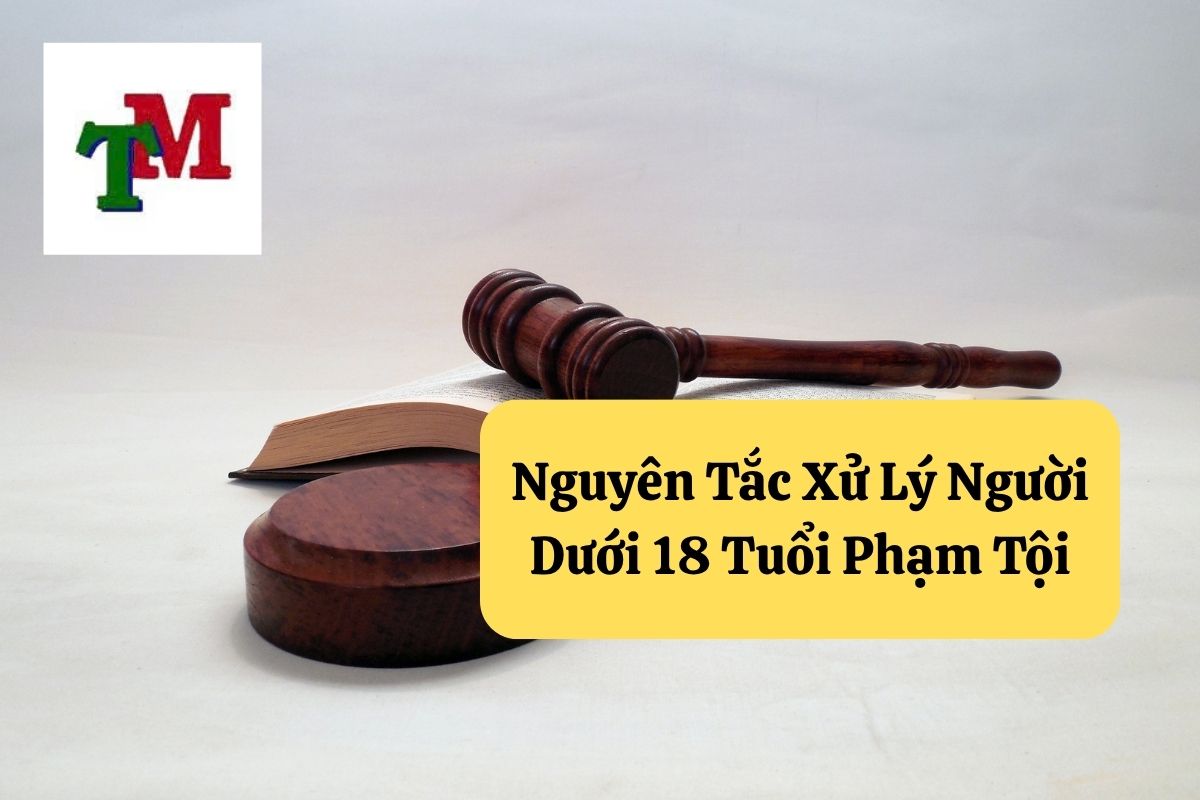 Nguyên Tắc Xử Lý Người Dưới 18 Tuổi Phạm Tội
