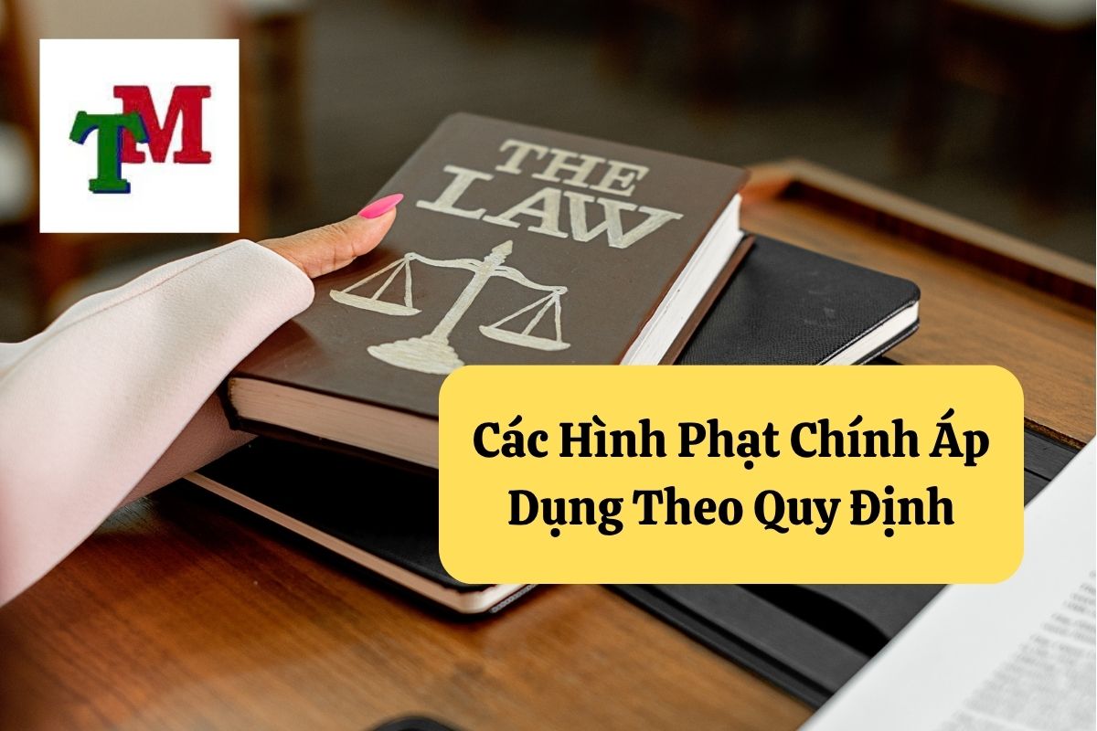 Các Hình Phạt Chính Áp Dụng Theo Quy Định Pháp Luật Hình Sự Việt Nam