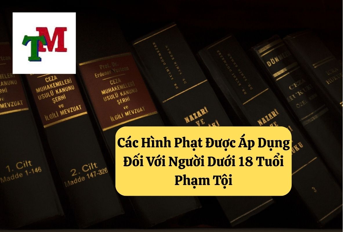 4 Hình Phạt Được Áp Dụng Đối Với Người Dưới 18 Tuổi Phạm Tội Theo Pháp Luật Việt Nam