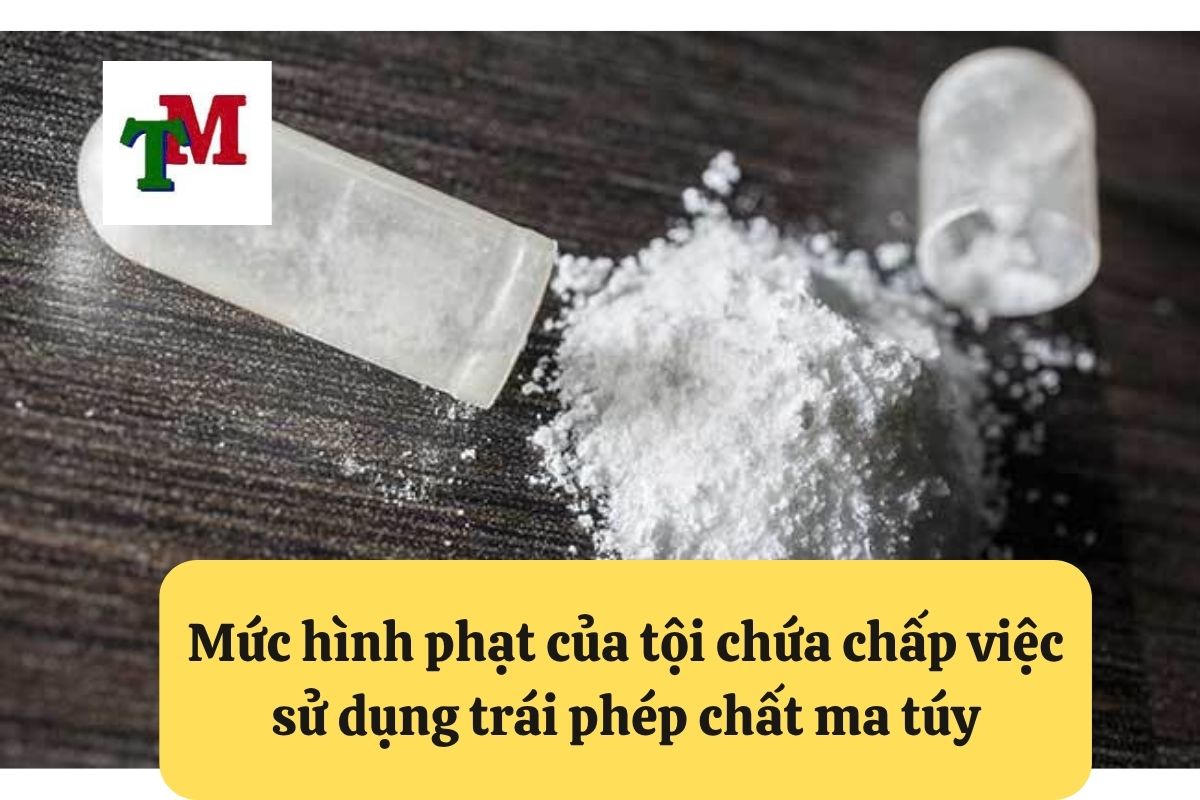 Mức hình phạt của tội chứa chấp việc sử dụng trái phép chất ma túy