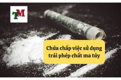 11. chua chap viec su dung trai phep chat ma tuy