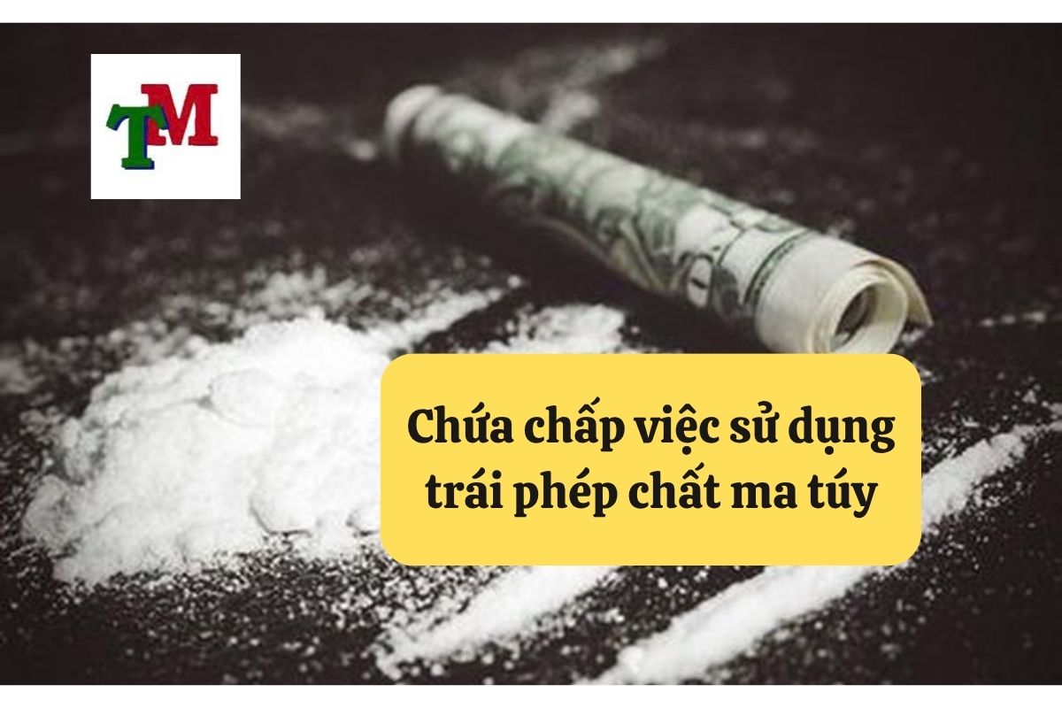 Tội Chứa Chấp Việc Sử Dụng Trái Phép Chất Ma Túy: 4 dấu hiệu pháp lý và 3 tư vấn từ Luật sư hình sự