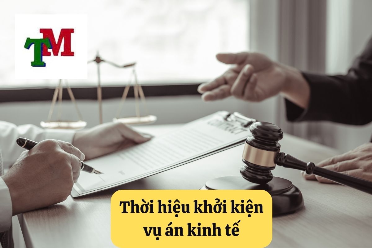 11. khoi kien vu an kinh te 3