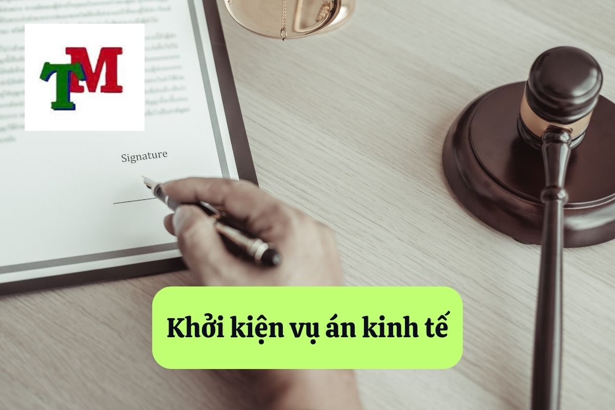 11. khoi kien vu an kinh te