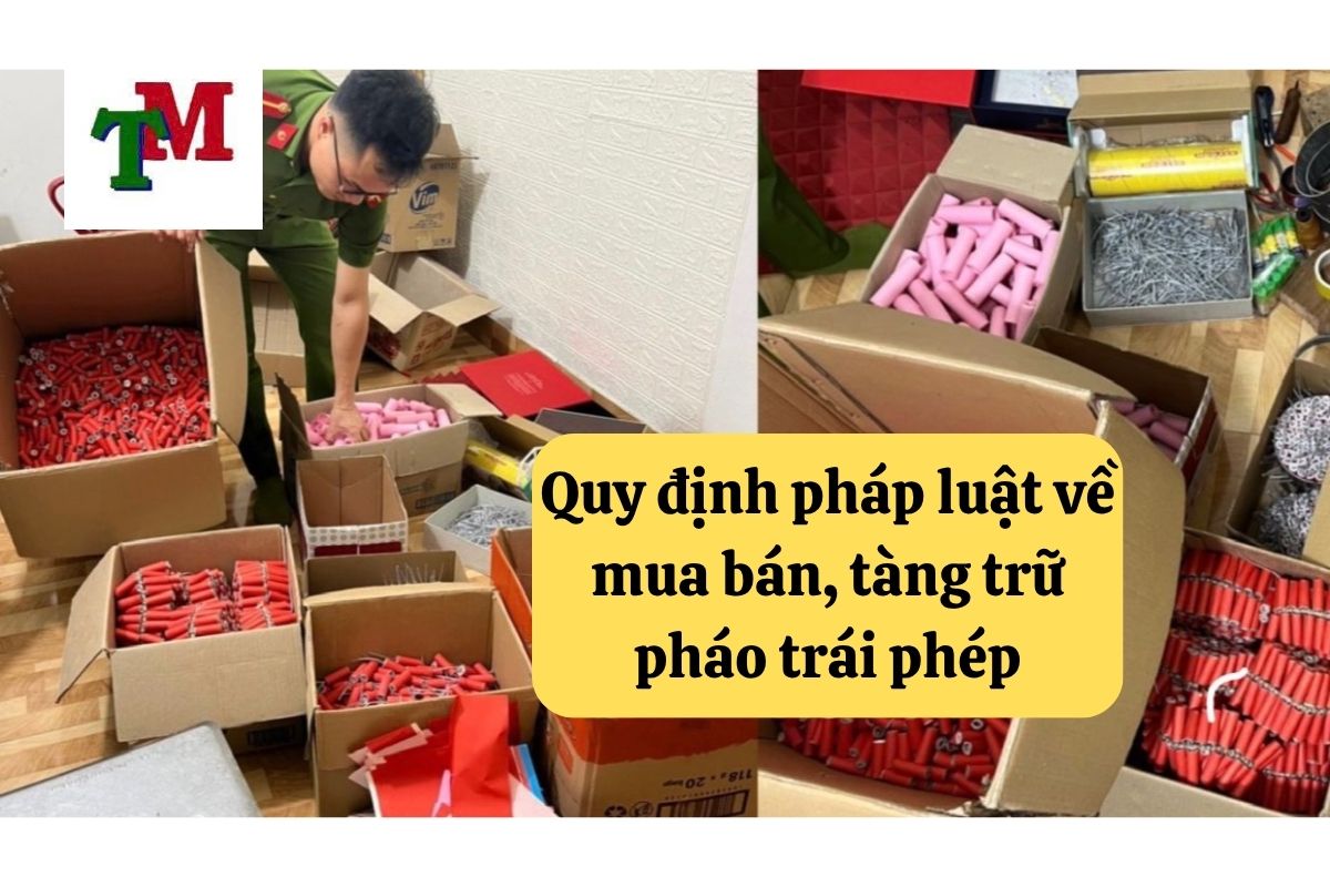 Mua bán, tàng trữ pháo trái phép bị xử lý ra sao? 2 11. mua ban tang tru phao trai quy dinh phap luat 2