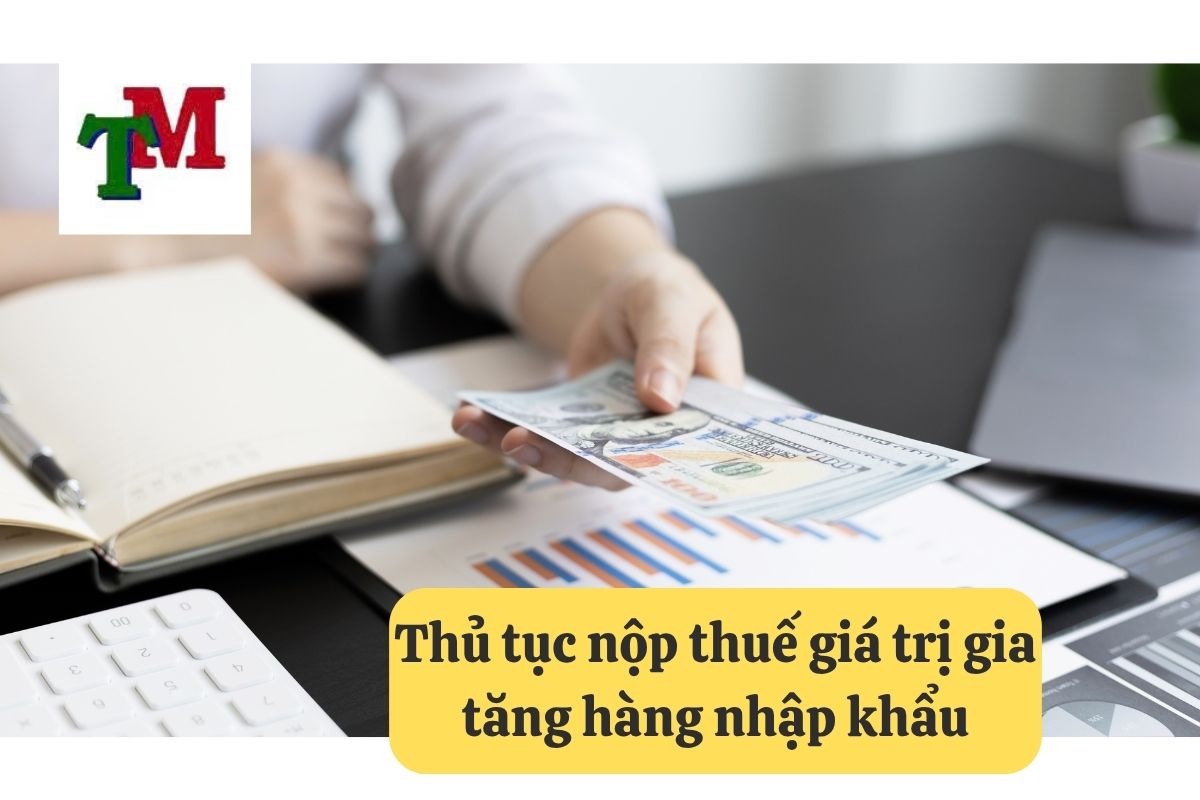 11. thue gia tri gia tang hang nhap khau 2