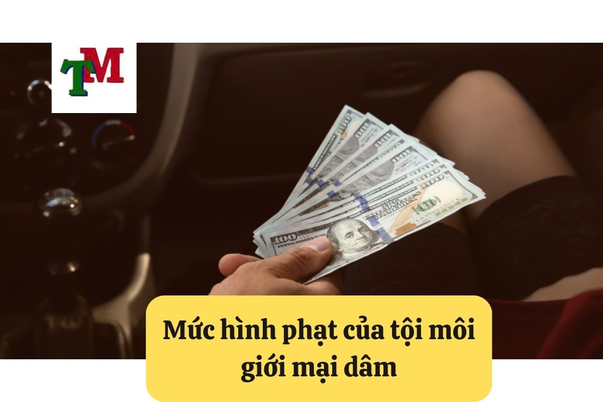 Tội Môi Giới Mại Dâm: 6 Mức Phạt và 3 tư vấn từ Luật sư hình sự 2 Mức hình phạt của tội môi giới mại dâm