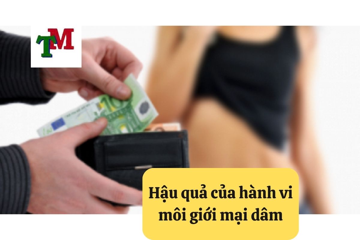 Tội Môi Giới Mại Dâm: 6 Mức Phạt và 3 tư vấn từ Luật sư hình sự 3 Hậu quả của hành vi môi giới mại dâm