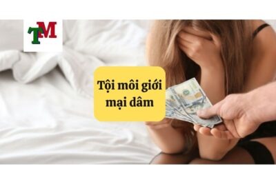 12. Toi moi gioi mai dam