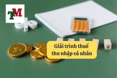 12. giai trinh thue thu nhap ca nhan