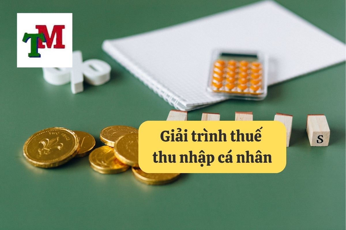12. giai trinh thue thu nhap ca nhan