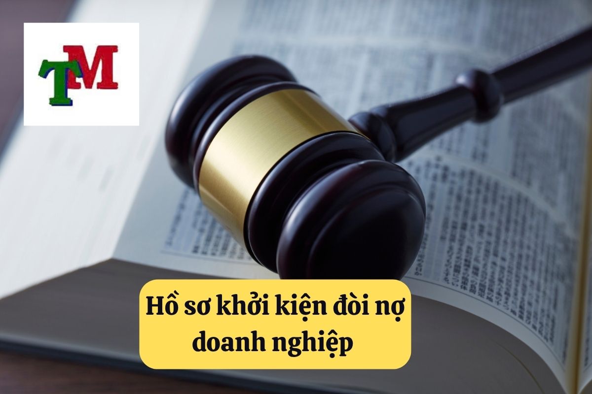 12. khoi kien doi no doanh nghiep 2