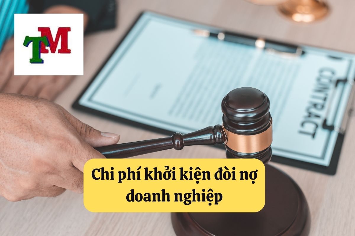 12. khoi kien doi no doanh nghiep 3