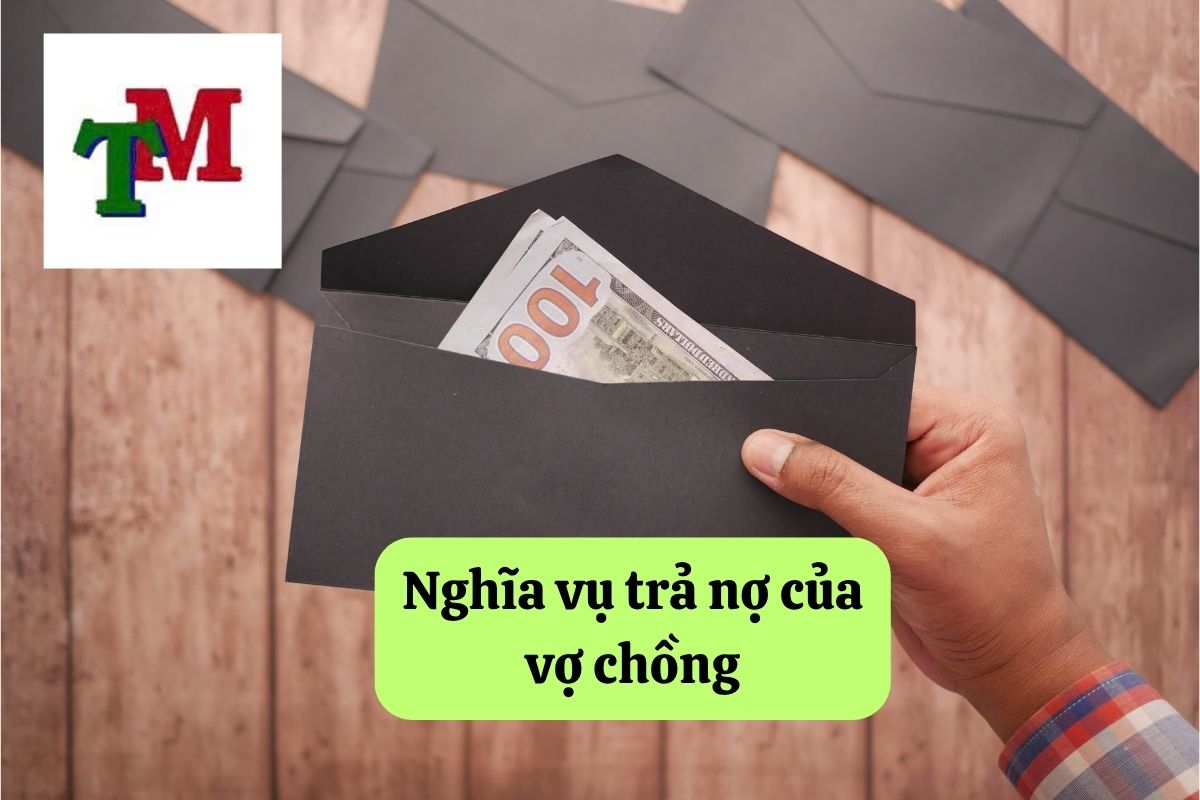 12. nghia vu tra no 3