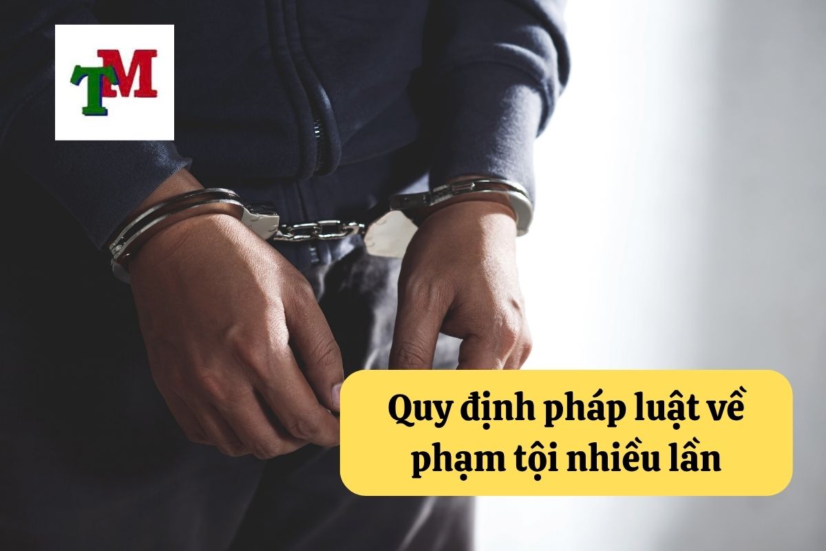 12. pham toi nhieu lan 2