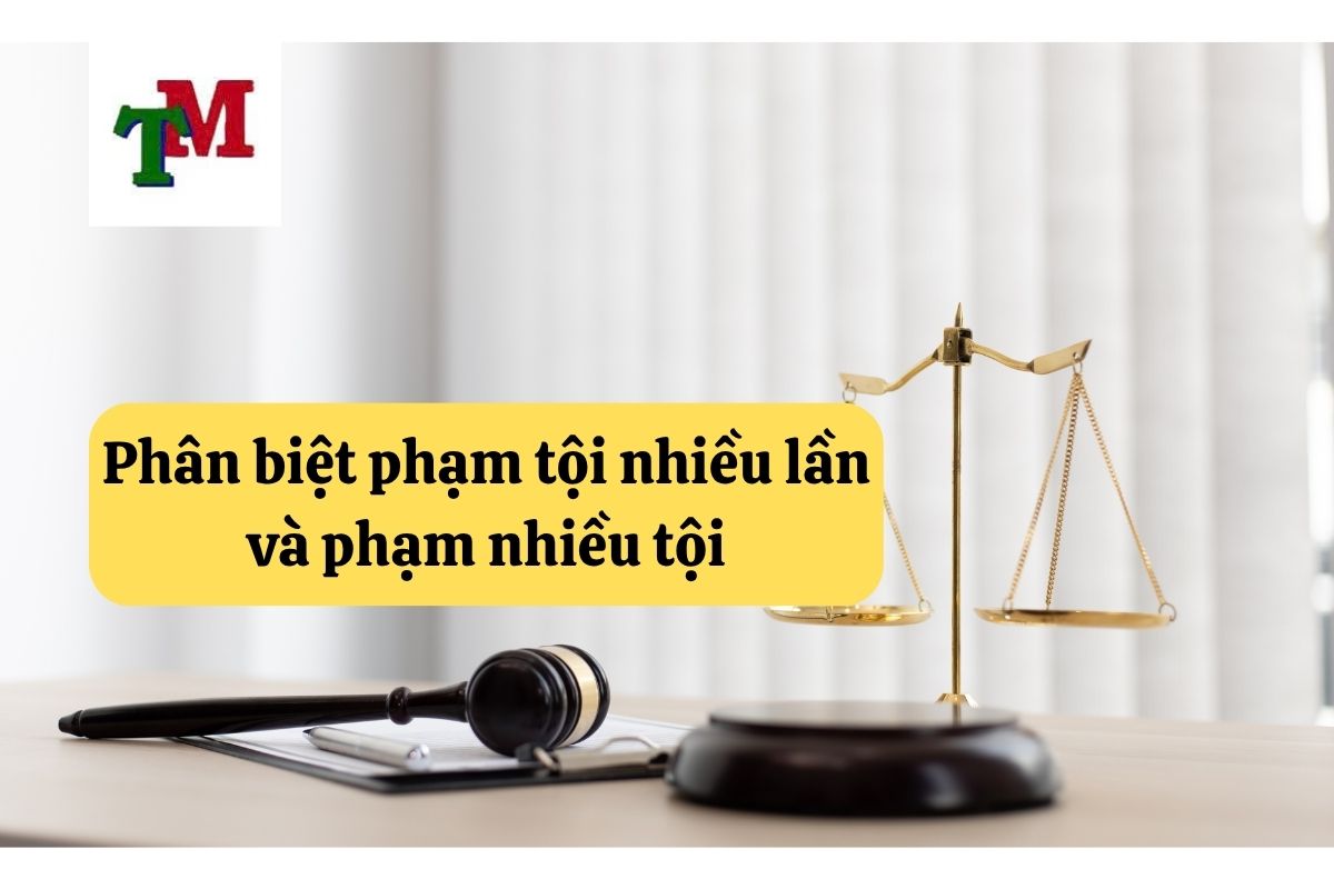 12. pham toi nhieu lan 3