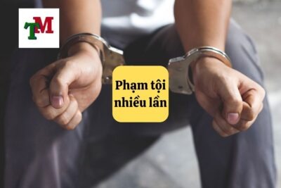 12. pham toi nhieu lan