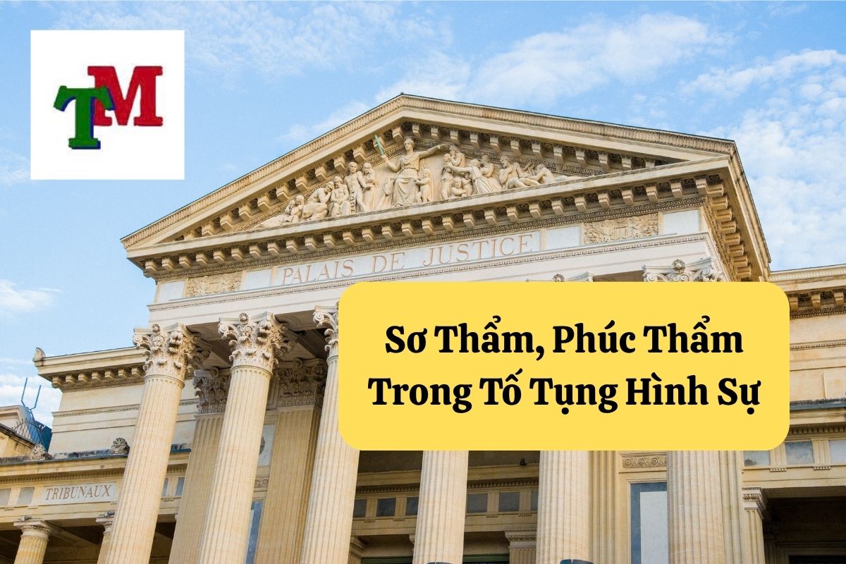 12. so tham phuc tham trong to tung hinh su