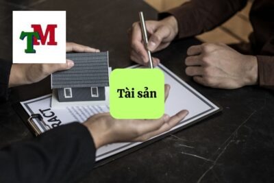 Tài sản: Khái niệm, quyền tài sản và quy định pháp luật 39 12. tai san 1
