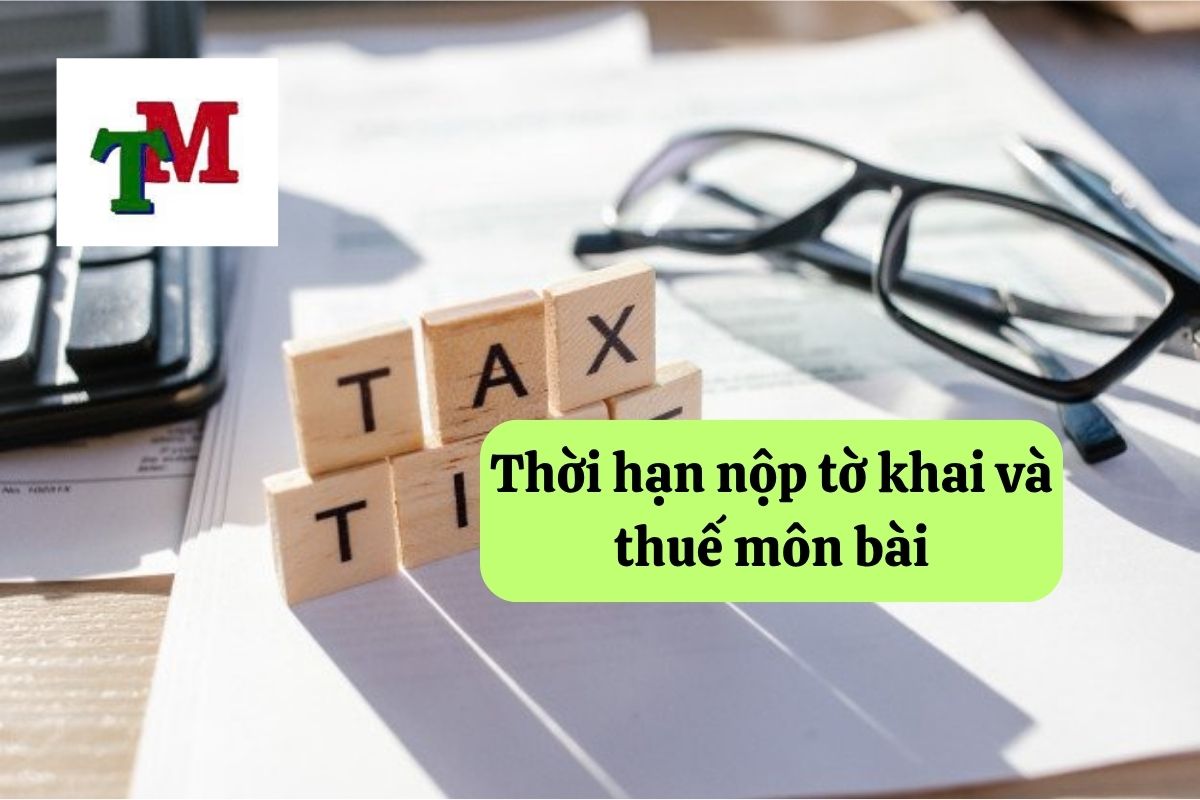 Tờ khai thuế môn bài: Hướng dẫn chi tiết và thời hạn nộp 3 12. to khai thue mon bai 3