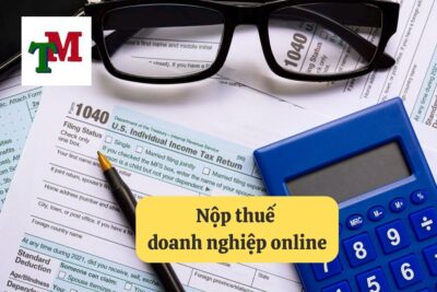 13. Nop thue doanh nghiep online