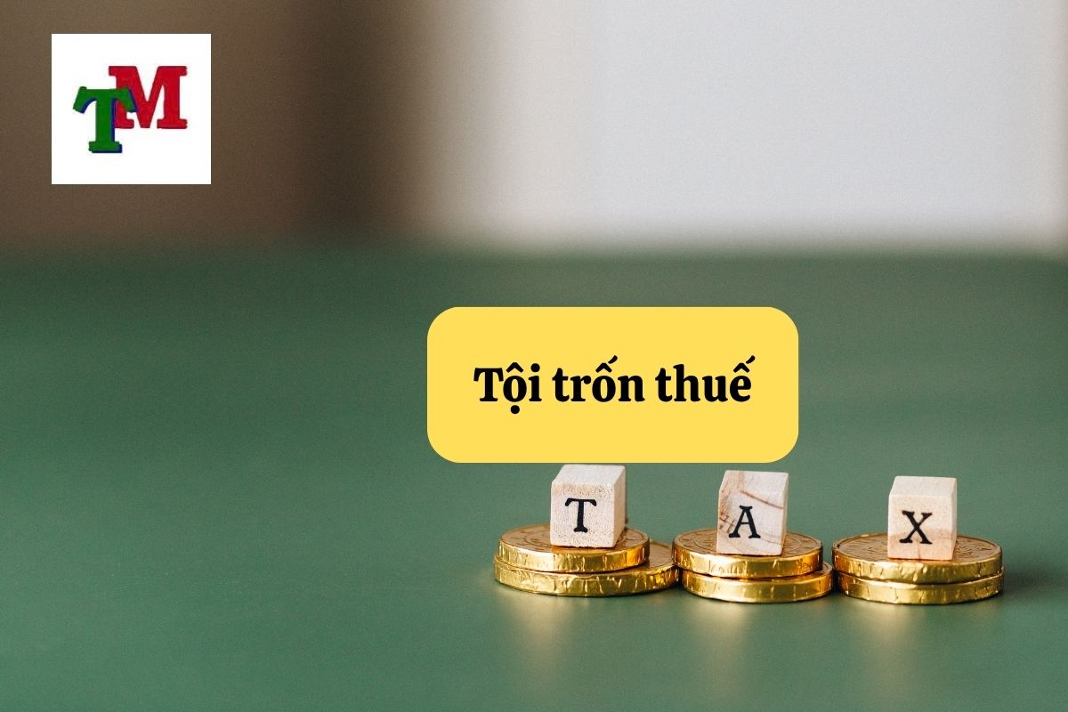 Tội trốn thuế: 03 dấu hiệu pháp lý và 02 mức hình phạt