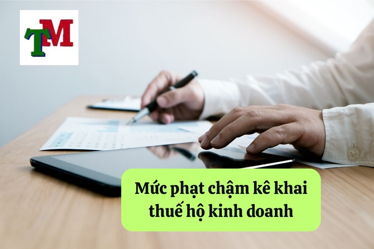 13. cham ke khai thue ho kinh doanh 2