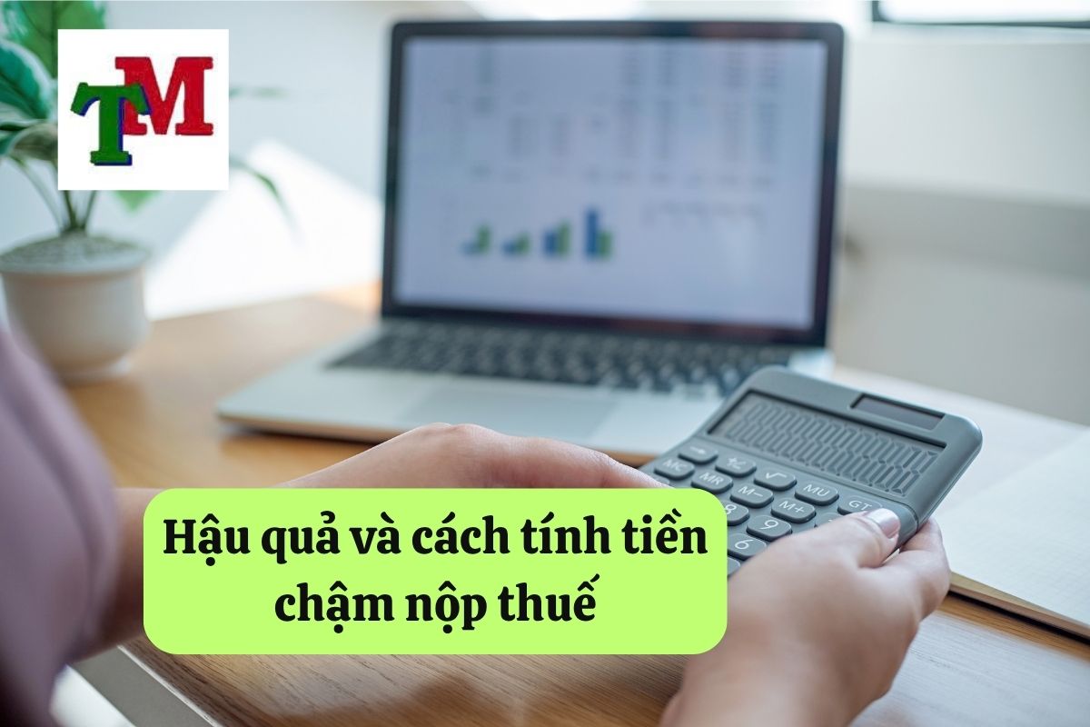 13. cham ke khai thue ho kinh doanh 3