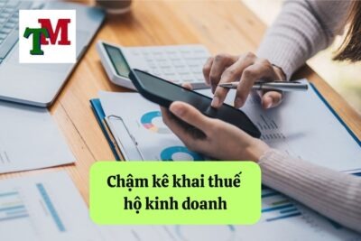 13. cham ke khai thue ho kinh doanh