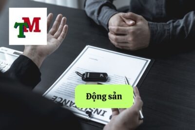 Động sản: Khái niệm, quyền tài sản và quy định pháp luật 35 13. dong san 1