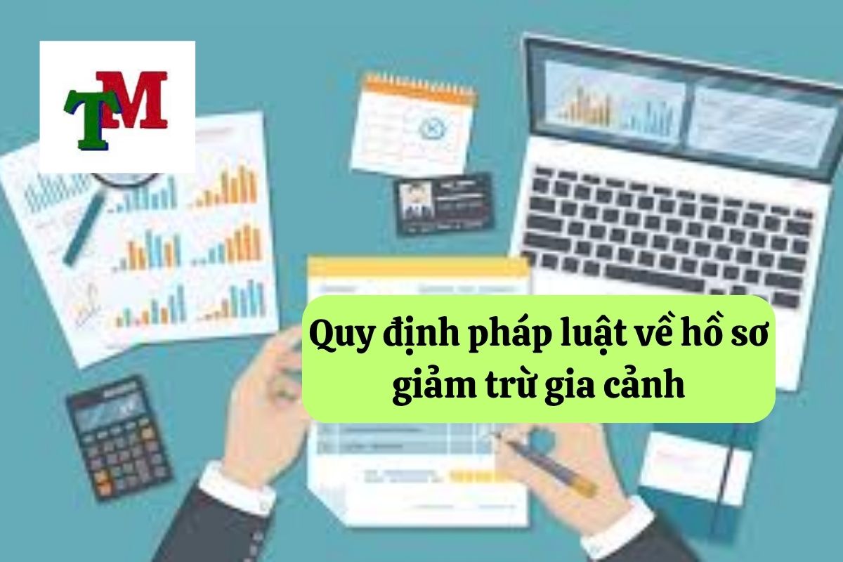 13. ho so giam tru gia canh 2