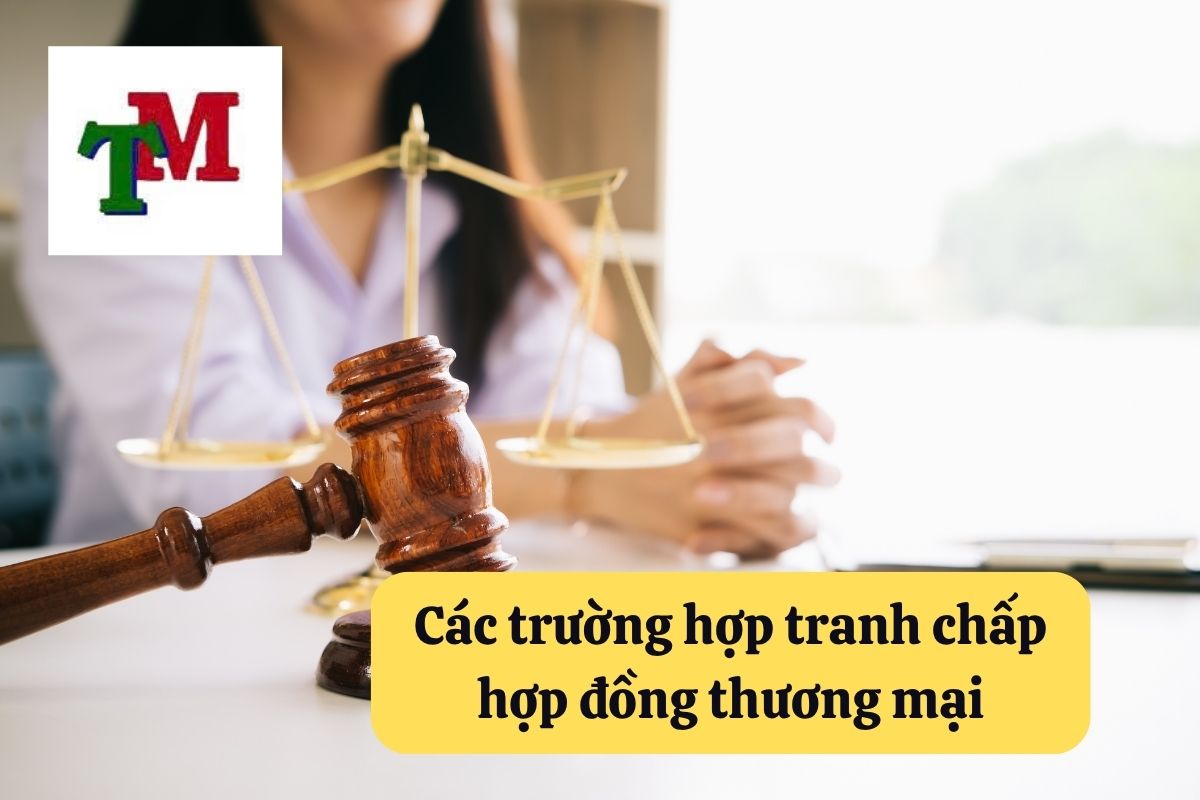 13. thoi hieu khoi kien hop dong thuong mai 2