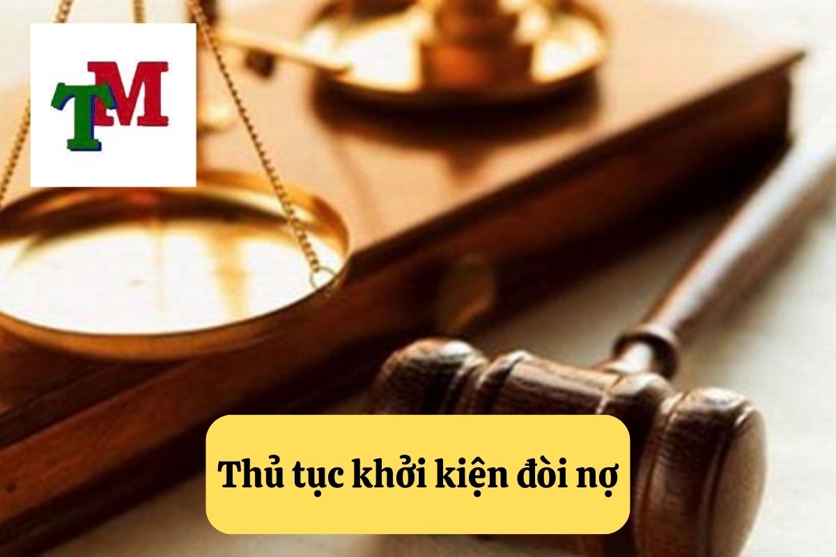 Hiểu biết thủ tục khởi kiện đòi nợ và quyền lợi của bạn 1 13. thu tuc khoi kien doi no