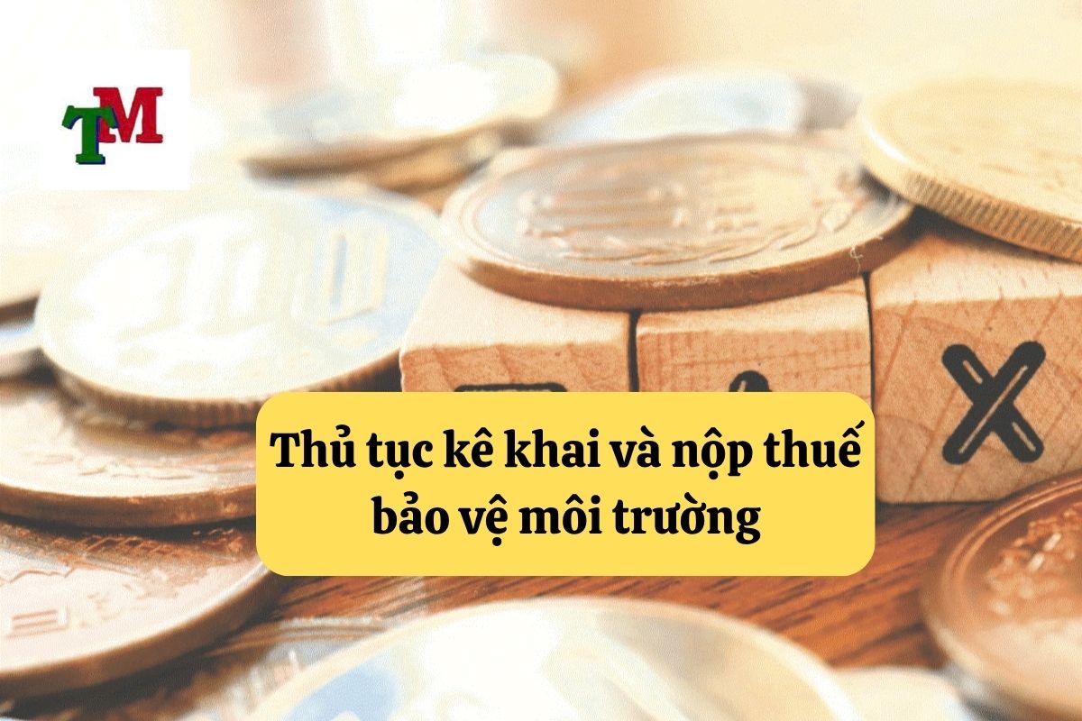 Hướng Dẫn Về Thuế Bảo Vệ Môi Trường Tại Việt Nam 3 13. thue bao ve moi truong 3