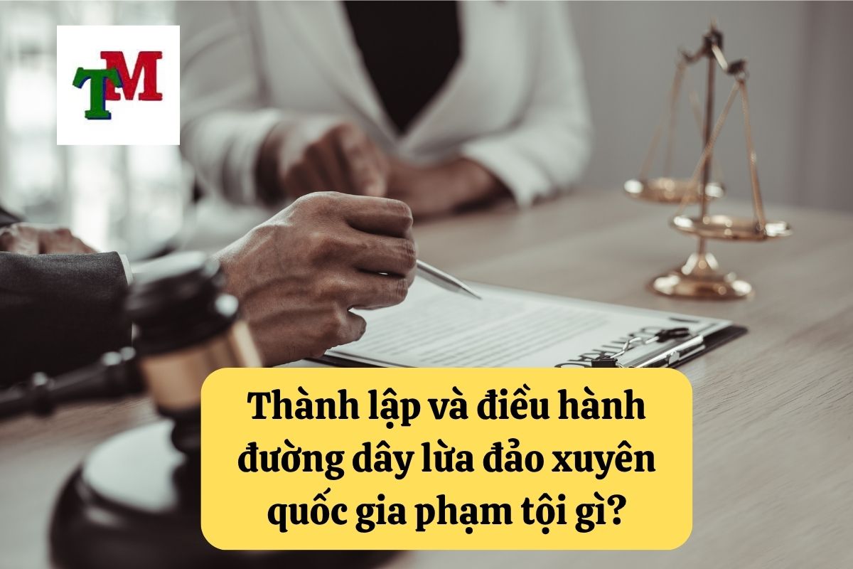 14. Thanh lap va dieu hanh duong day lua dao xuyen quoc gia 2