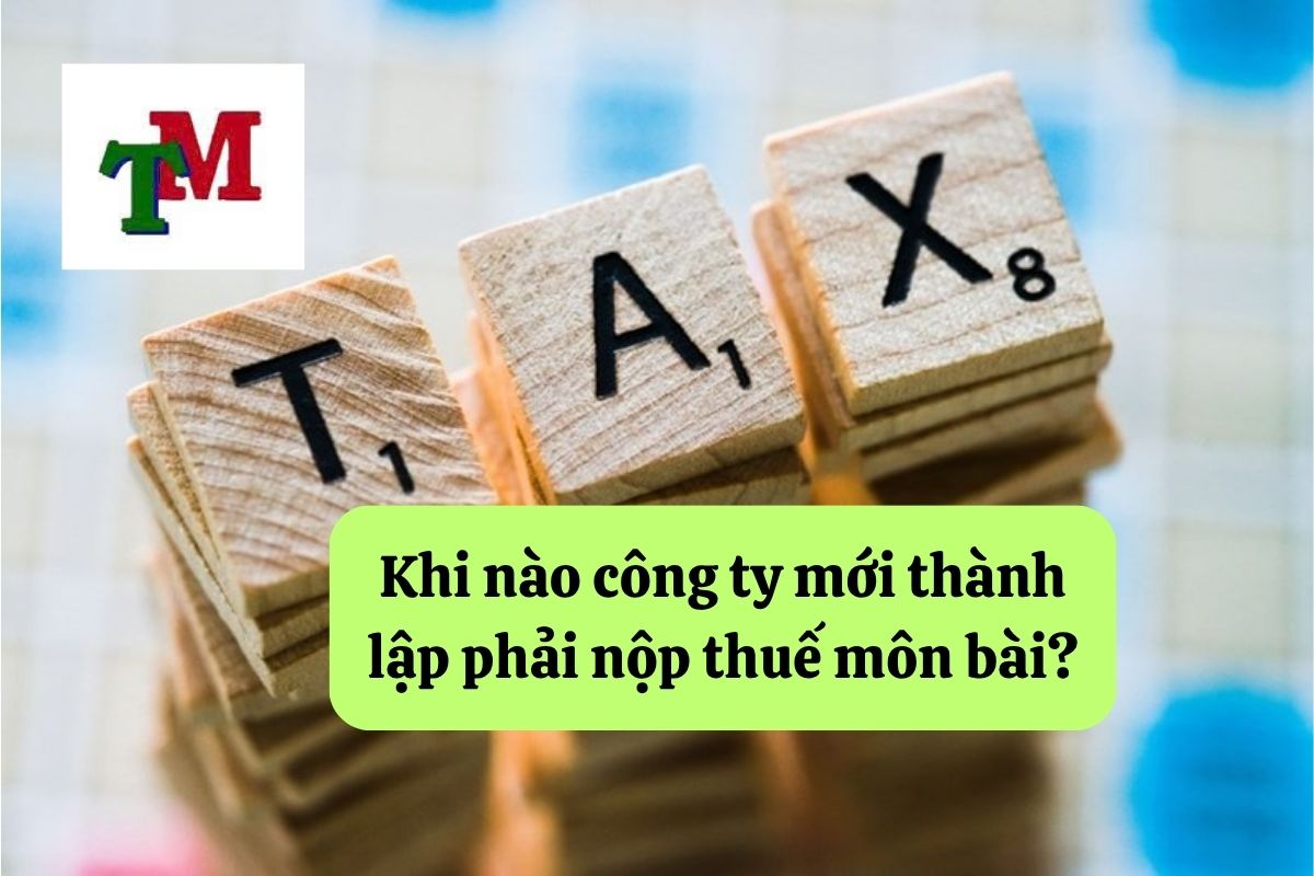 14. cty moi thanh lap co nop thue mon bai khong 2